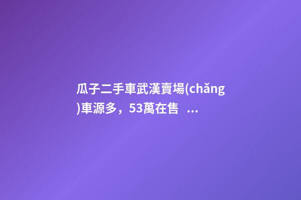 瓜子二手車武漢賣場(chǎng)車源多，5.3萬在售，僅奧迪品牌就有3000多輛